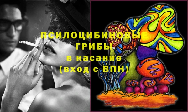 эйфоретик Алзамай